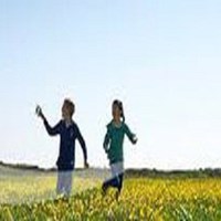 Портфолио Donald Lee